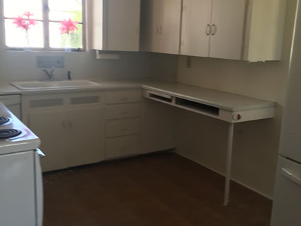 1 Phoenix Before & After