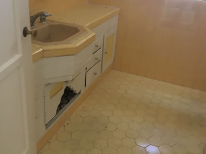 1 Phoenix Before & After