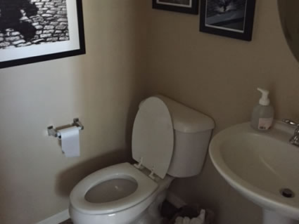 14 Gilbert Before & After