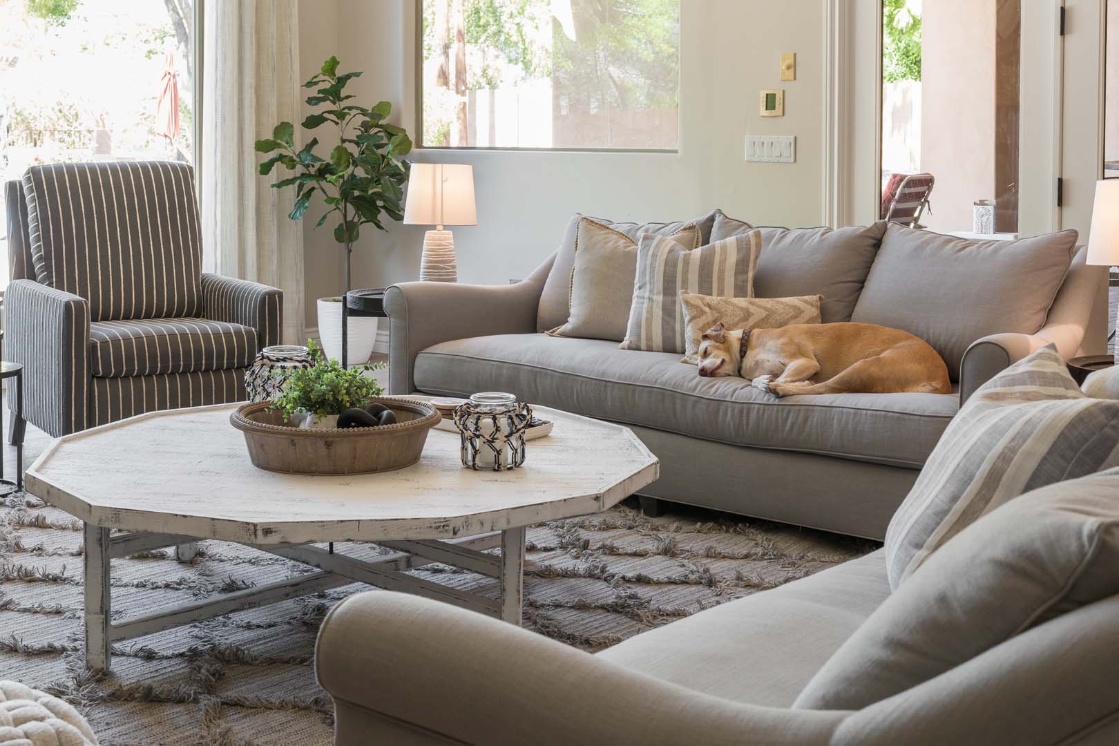 HOME IS OUR NEST Gilbert Interior Design 