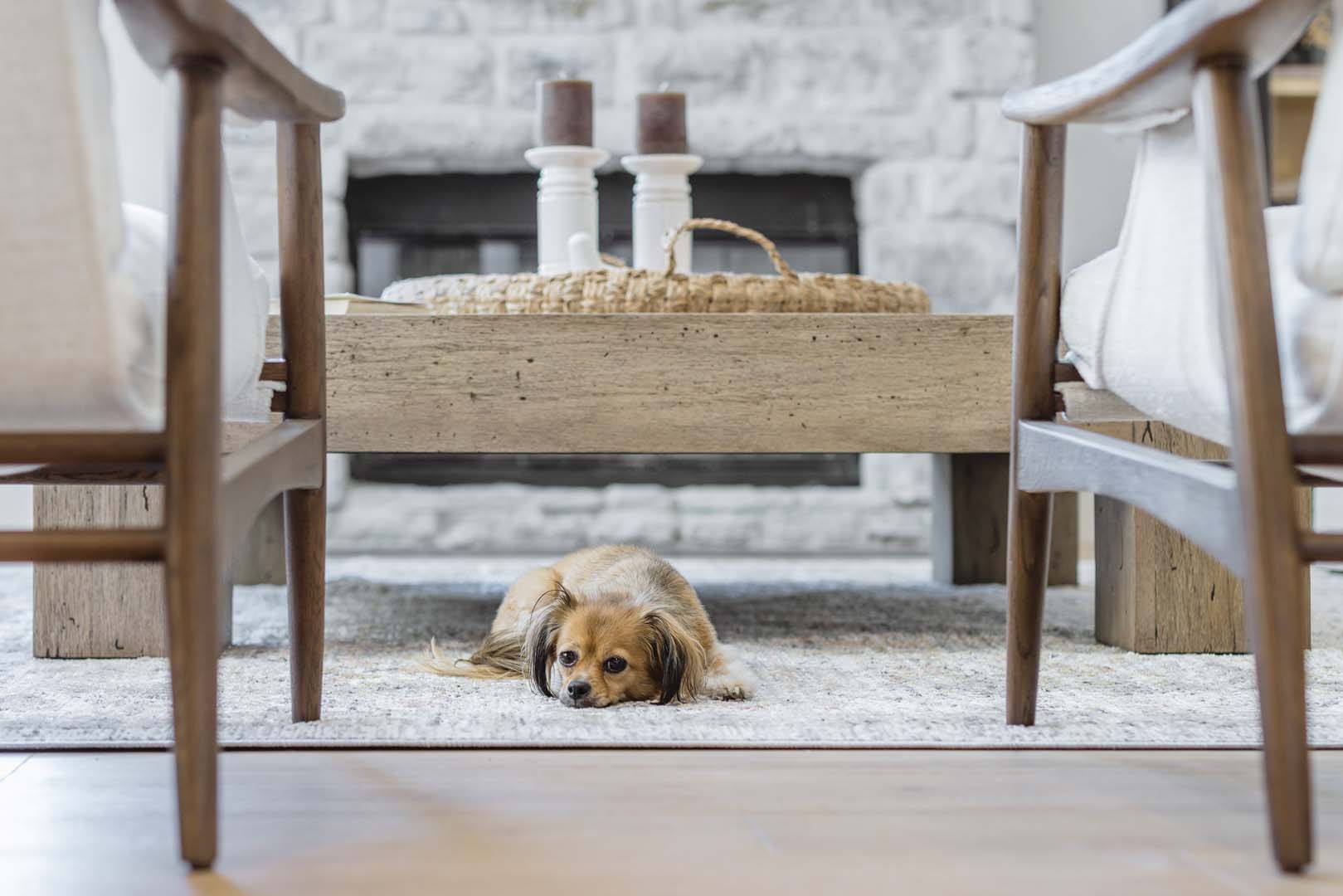 LOVE THY HOME North Scottsdale Interior Design 