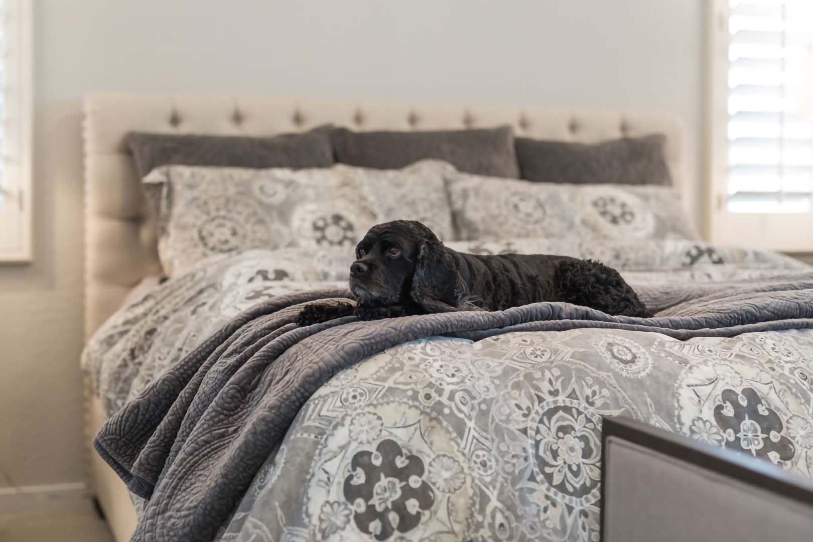 TIMELESS CLASSIC Phoenix Interior Design